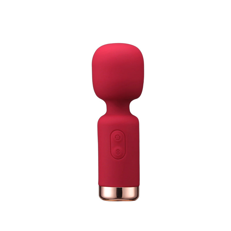 mini vibrator