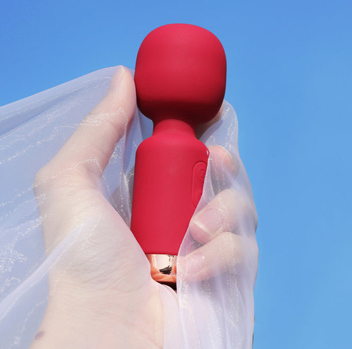 mini vibrator