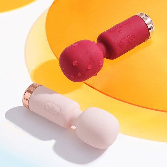 mini vibrator